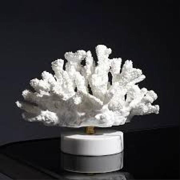 White Coral Statue